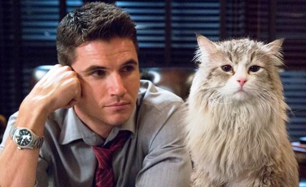 Robbie Amell Jak zostać kotem kino familijne Recenzja filmu polski dubbing Nine Lives